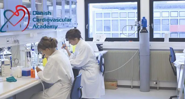 DCAcademy International PhD Scholarships in Denmark