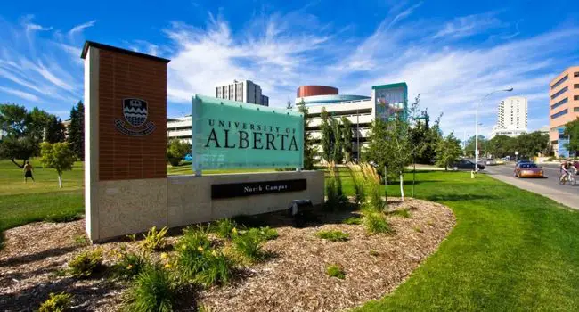 Doug and Jane Wilson Graduate Award in Health Equity and Mental Health at University of Alberta, Canada.