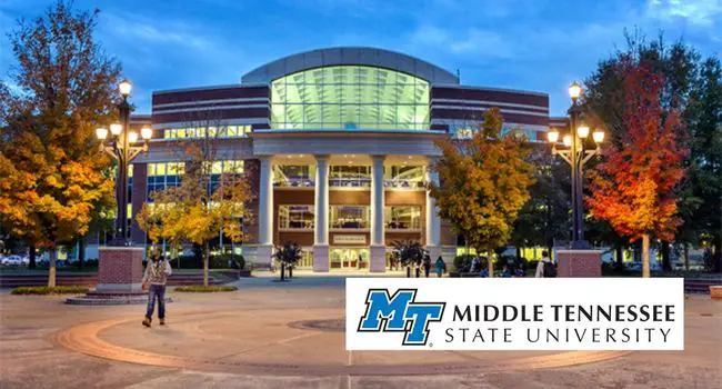 Middle Tennessee State University Honors Freshman Scholarship.