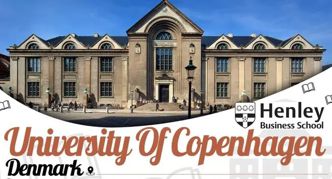 The Dunning Scholarship Denmark (DSD) Grant Program.