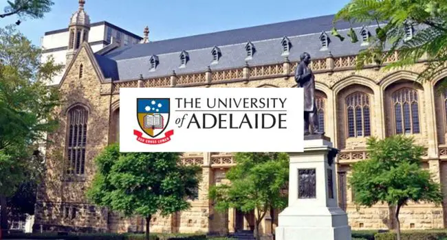 ARC Grant Funded International PhD Scholarship Solid Oxide Electrolysis Cells with Novel Perovskite-based Cathode