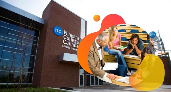 Africa Continent Scholarship for International Student at Niagara College, Canada