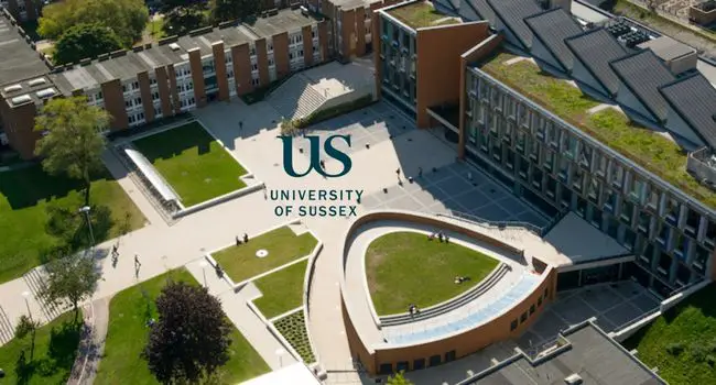 University of Sussex Jenny and Peter Kingsland Scholarship for International Students in the UK