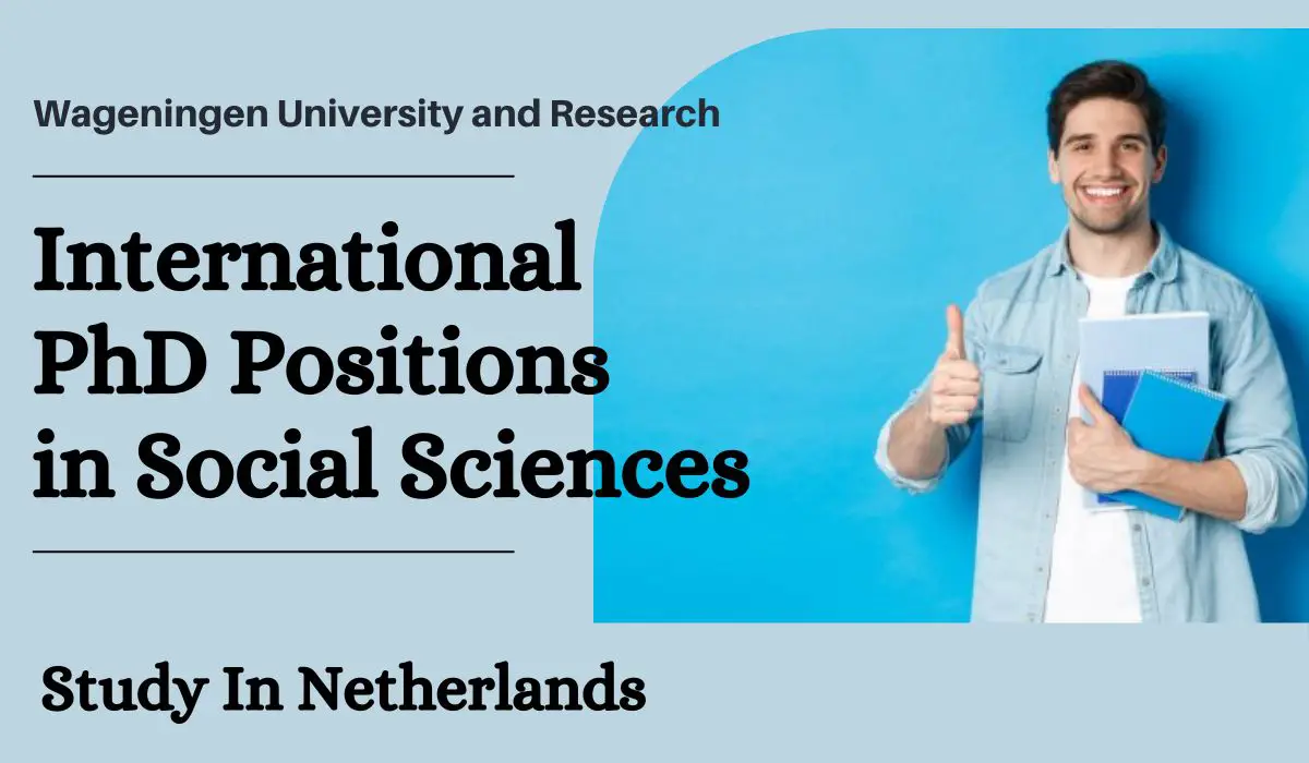 International PhD Positions in Social Sciences, Netherlands
