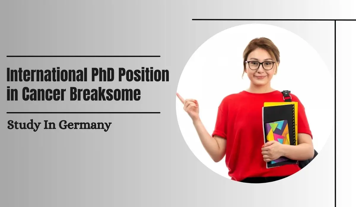 International PhD Position in Cancer Breaksome, Germany - Scholarship ...