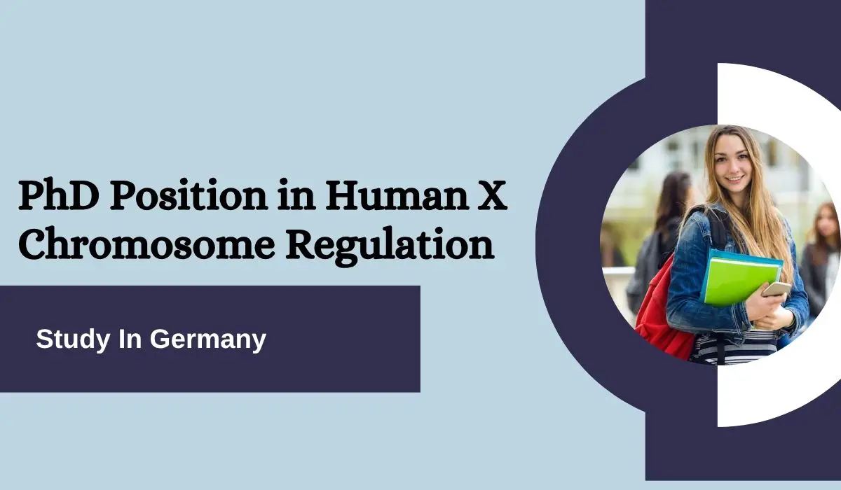 PhD Position in Human X Chromosome Regulation, Germany