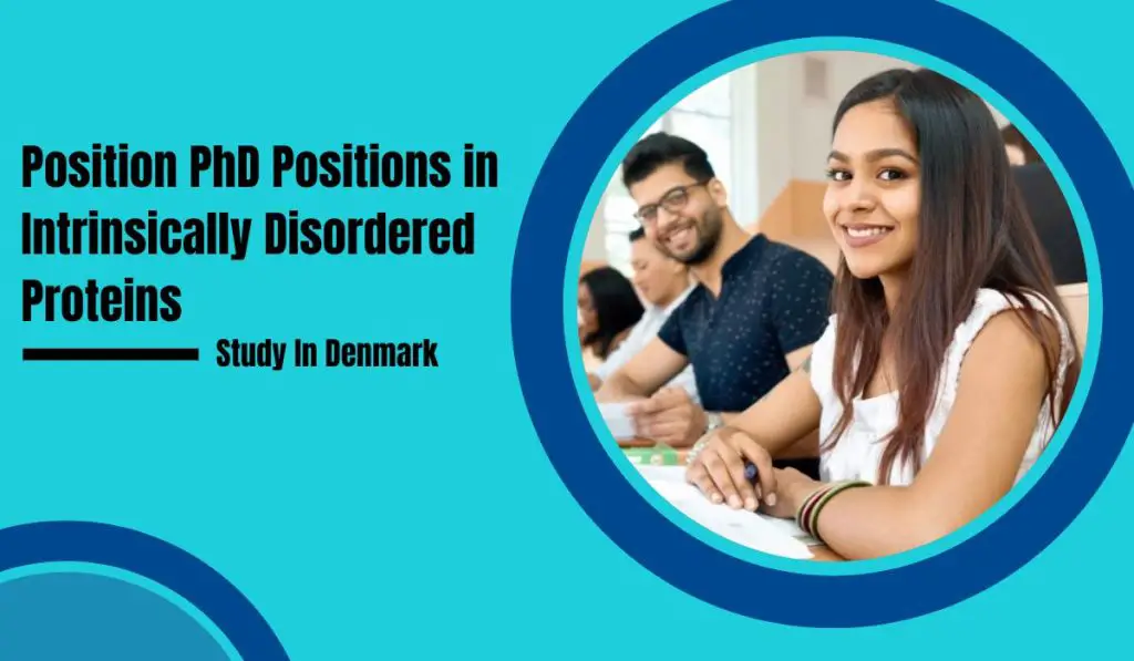 Position PhD Positions in Intrinsically Disordered Proteins, Denmark